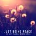 Download lagu Feeling Peaceful mp3 gratis di zLagu.Net