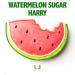 Download mp3 lagu Watermelon Sugar terbaik di zLagu.Net