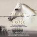 Download mp3 Terbaru (EBOOK The Perfect Horse The Daring U.S. Mission to Rescue the Priceless Stallions napped by the gratis