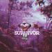 Musik Survivor (Destiny child remake) mp3