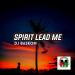Free Download mp3 Dj Spirit Lead Me