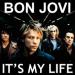 Bon Jovi - It 's My Life - Remix D.J. MickyEffe Musik Free
