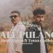 Download lagu terbaru ty Aldrin - Bale Pulang Feat. Toton Caribo (Mokechino Remix)