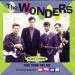 Download lagu mp3 THE WONDERS - That thing you do ( Kaze remix ) baru di zLagu.Net
