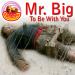 Download lagu terbaru Mr. Big - To Be With You mp3 gratis