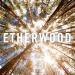 Download lagu gratis Etherwood - Begin By Letting Go terbaru di zLagu.Net