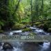 Musik 'Mountain Stream' - Album Sample - recorded in Gunung Halimun National Park, Java terbaik