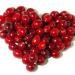 Download lagu gratis Cranberries di zLagu.Net