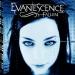 Download Gudang lagu mp3 Evanescence - Everybody's Fool