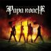 Lagu Papa Roach - No Matter What (Actic) terbaru 2021