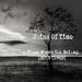 Shine Of Time - A Place Where You Belong (BFMV Cover) Lagu Free