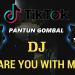 Free Download lagu terbaru DJ TIK TOK ARE YOU WITH ME REMIX TERBARU