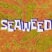 Download lagu gratis SpongeBob Production ic - Seaweed mp3 Terbaru di zLagu.Net