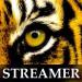 Download musik Survivor - The Eye Of The Tiger (Streamer's Rocky Remix)♪