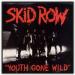 Download lagu gratis S Row - Youth Gone Wild (Cover By Wellington Oliveira) di zLagu.Net