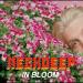 Download mp3 Neck Deep - In Bloom ( Cover by Adityaputs ) terbaru - zLagu.Net