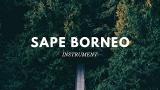 Video Lagu Music Sape Borneo | Instrument Sape Dayak Kalimantan di zLagu.Net