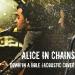 Lagu mp3 Alice in Chains - Down in a hole (Actic Cover)