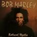 Download lagu Bob Marley - Natural Mystic (Chuggz)