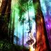 Download lagu gratis Rainbow Forest terbaru di zLagu.Net