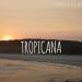 Download lagu mp3 Tropicana terbaru
