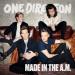 Download mp3 lagu One Direction - Walking in the Wind [cover] di zLagu.Net