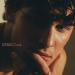 Download lagu Shawn Mendes, Tainy - Summer Of Love baru di zLagu.Net