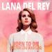 Lana Del Rey - Born To Die (Victor Lou Bootleg) lagu mp3