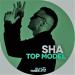 Download Sha TOP MODEL(Remix DJ ⓈɌβᎥᒎค) lagu mp3 baru