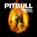 Gudang lagu 126 Fireball - Pitbull Ft. Jhon Ryan [DJ BASS] 2O14 mp3 gratis
