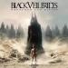 Black Veil Bes - Rebel Love Song (actic) Music Terbaik