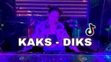 Music Video VIRAL TIKTOK - KAKS DIKS ( Remix ) DJ LOVE 