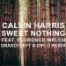 Download musik Calvin Harris Ft. Florence Welch - Sweet Nothing (Diplo & Grandtheft Remix) BBC RIP terbaik