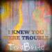 Free Download lagu Taylor Swift - I Knew You Were Trouble (Official Rock Cover)