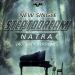 Musik Step To Dream - Natra (Actic Version) mp3