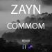 Download lagu Zayn - Common (Remix) gratis di zLagu.Net