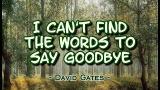 Music Video I Can't Find The Words to Say Goodbye - Da Gates (KARAOKE VERSION) Gratis