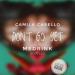 Download lagu Camilla Cabello - Don't go yet (Medrink Bootleg) mp3 di zLagu.Net