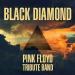 Download mp3 'Money' - Black Diamond Pink Floyd Tribute Band baru - zLagu.Net