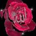 Free Download  lagu mp3 Allah The Almighty - By 'Aasiq - Ul - Rasul terbaru di zLagu.Net