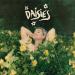 Download lagu Daisies terbaru