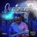 Download music Kenny G - Sentimental | Cover by Leke Folaranmi mp3 Terbaik - zLagu.Net