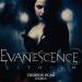 Free Download mp3 Evanescence - Lithium (Crimson Scar Remix) Buy = FREE DOWNLOAD