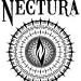 Download lagu terbaru NECTURA - CROSSING COWARD gratis