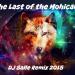 Download mp3 lagu The Last Of The Mohicans (DJ Salle Remix 2015) gratis di zLagu.Net