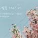 Download mp3 Epitone Project - Spring Day, Cherry Blossoms & You terbaru