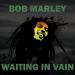 Download lagu Bob Marley - Waiting In Vain mp3 gratis
