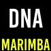 Download musik DNA Marimba Ringtone - Bts baru - zLagu.Net