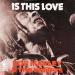 Download Musik Mp3 Bob Marley & the Wailers - is this love (Stuba & Rocsteady Afro He remix) terbaik Gratis