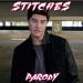 Musik Shawn Mendes - 'Stitches' PARODY terbaru